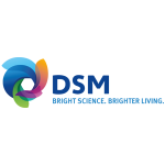 DSM DSM