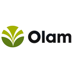 Olam Olam